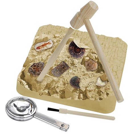 fossil digging kit for kids